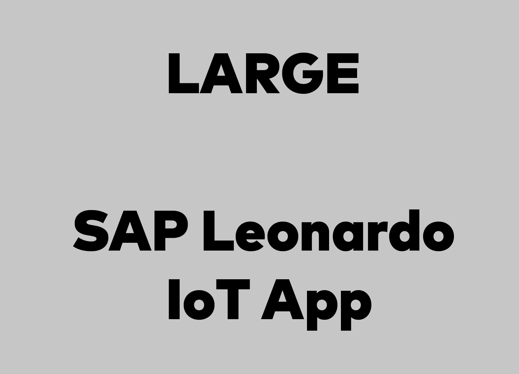 Paket Large, SAP Leonardo App, MVP