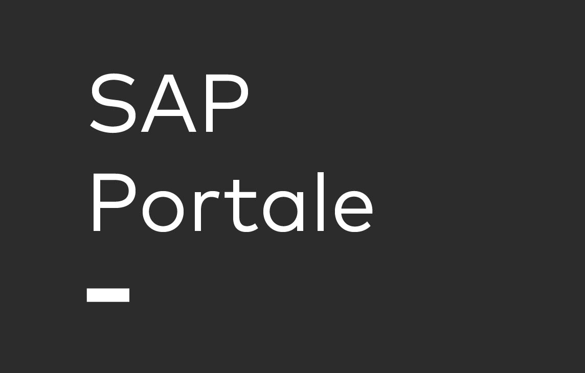 SAP Enterprise Portal Bild 2